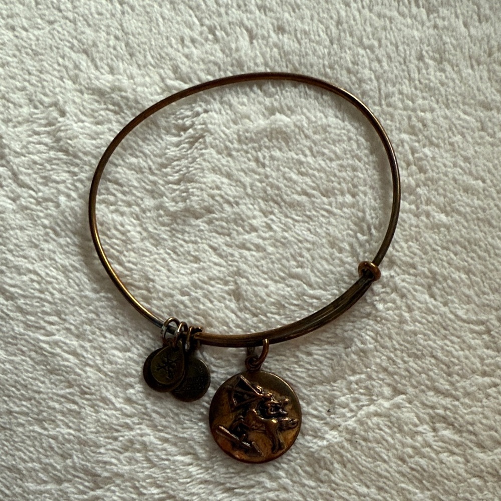 Alex and Ani Bronze Charm Bangle